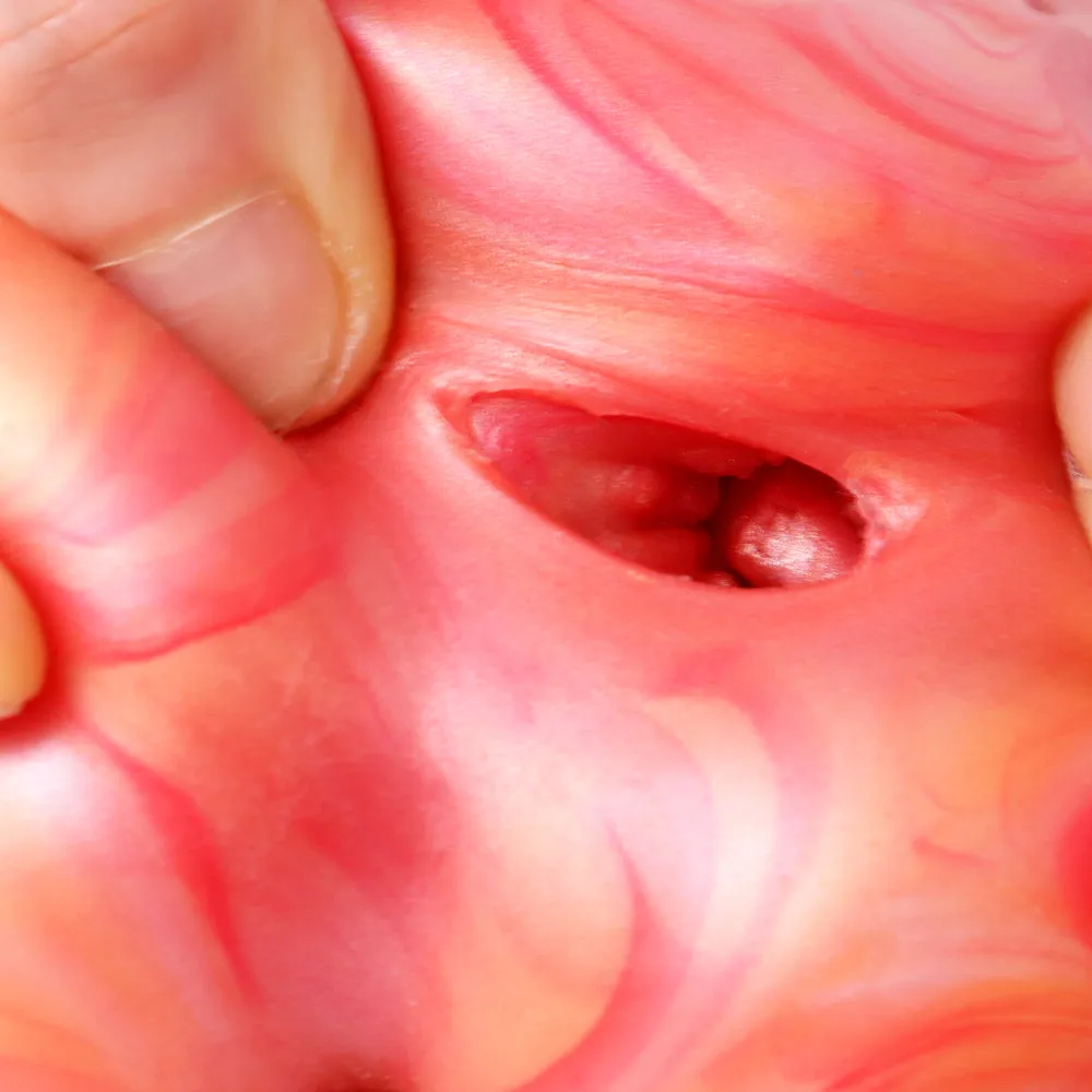 Blood-toned Pocket Pussy Masturbator - Realistic Vaginal Penis Masturbation Male Sex Toy