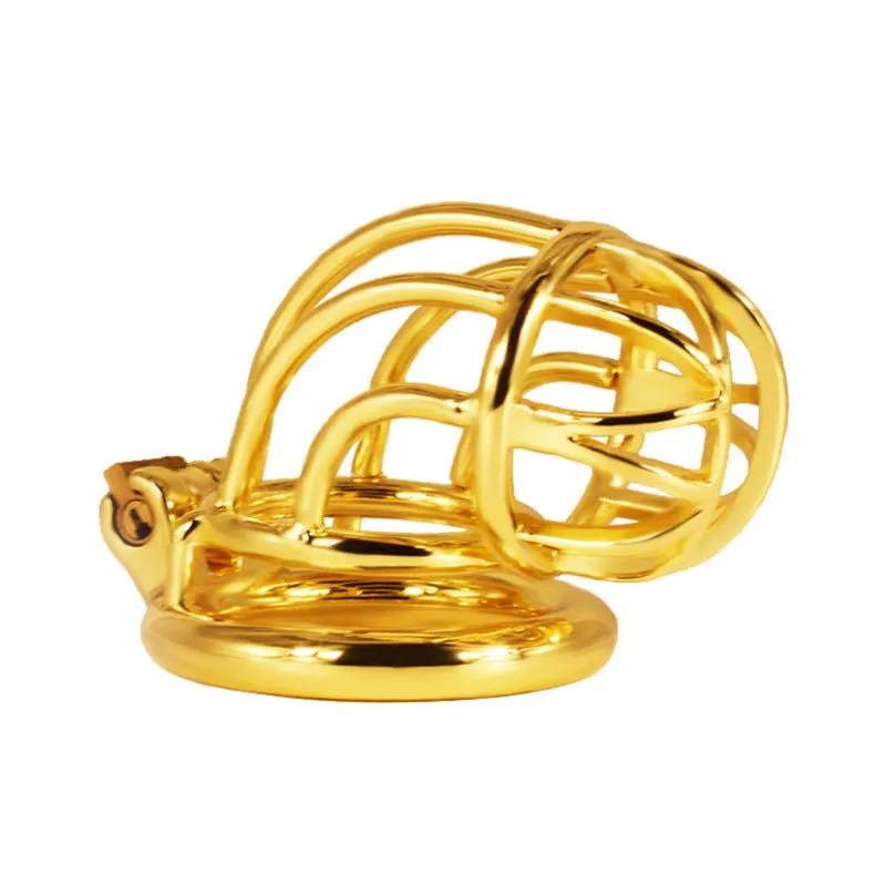 FRRK H109 stainless steel gold/silver chastity device