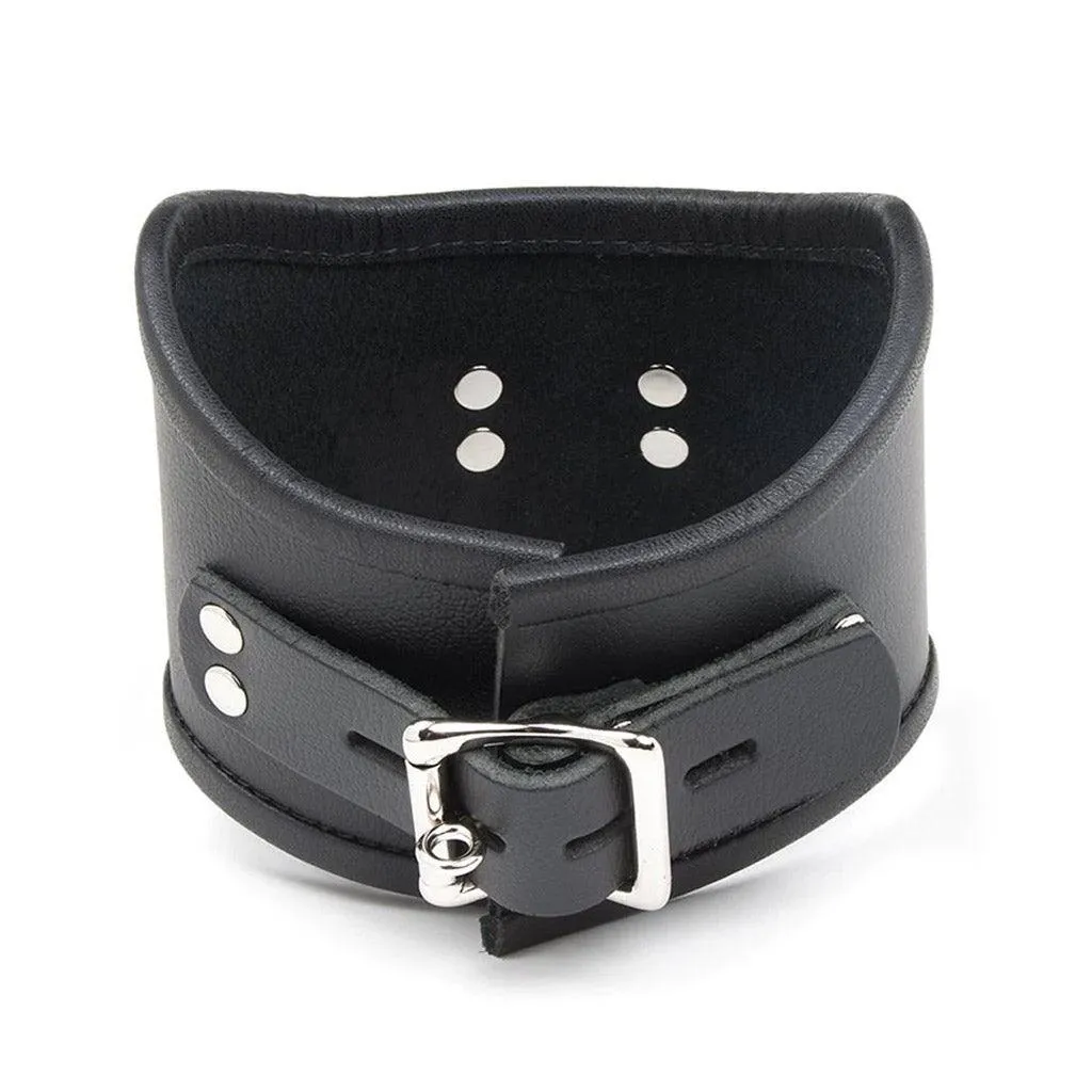 Tall Curved Posture Collar w/ Locking Buckle