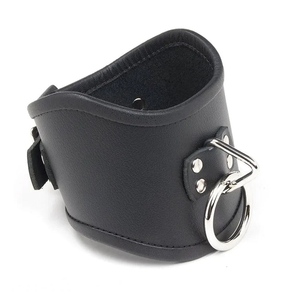 Tall Curved Posture Collar w/ Locking Buckle