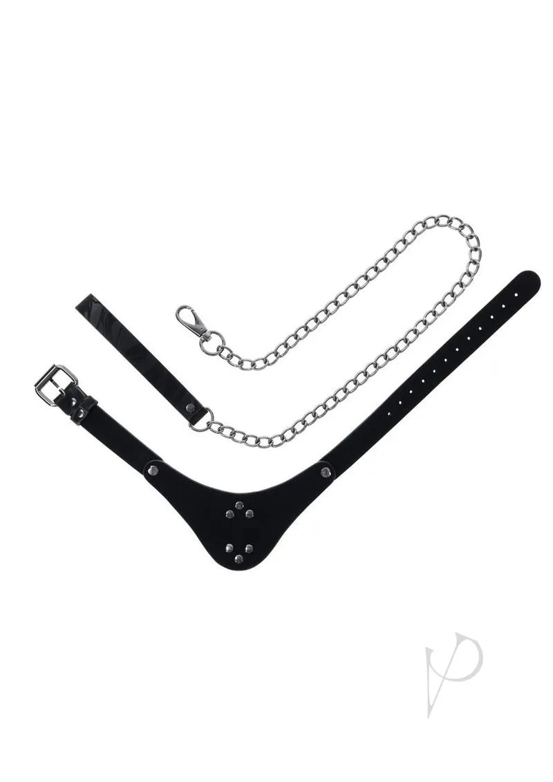 Velvet Noir Collar Leash